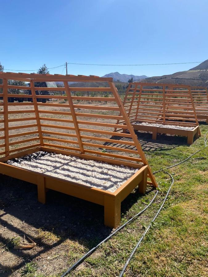 Cabanas Vicuna Cielo De Peralillo - Valle De Elqui Buitenkant foto